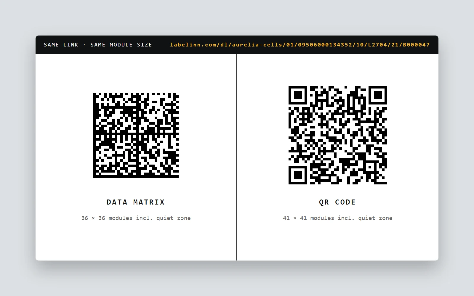 Aynı dijital ürün pasaportu linki, aynı modül boyutunda Data Matrix ve QR kod olarak — LabelInn